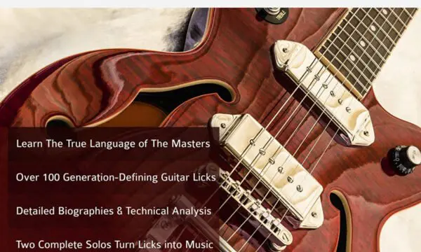 100 Classic Blues Licks for Guitar