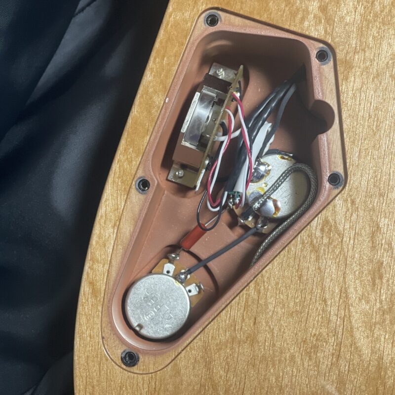Lepsky F Model Pro+ コントロール・キャビティ