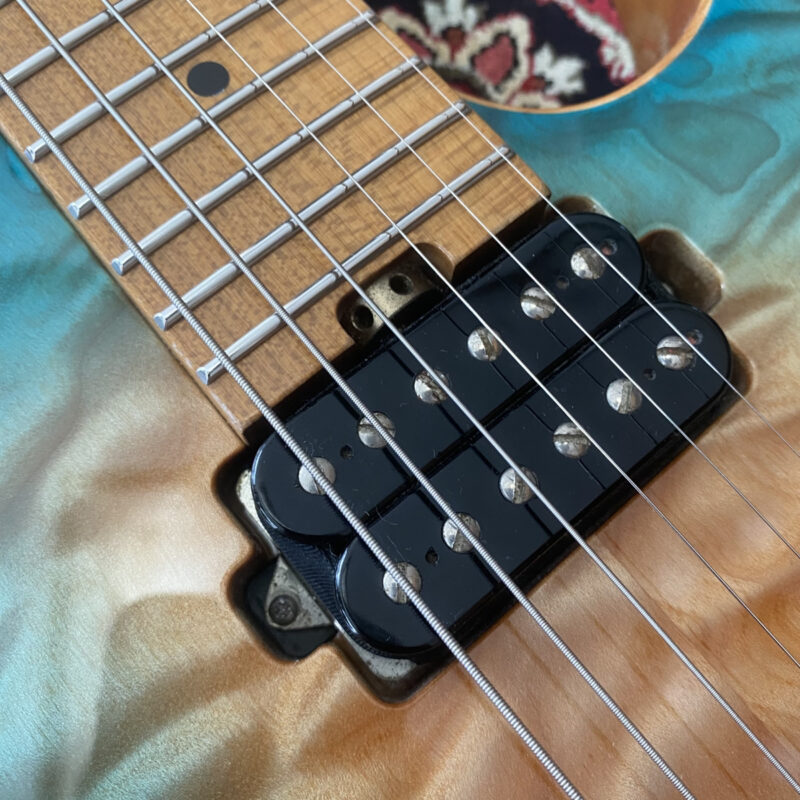 Lepsky F Model Pro+ ピックアップ