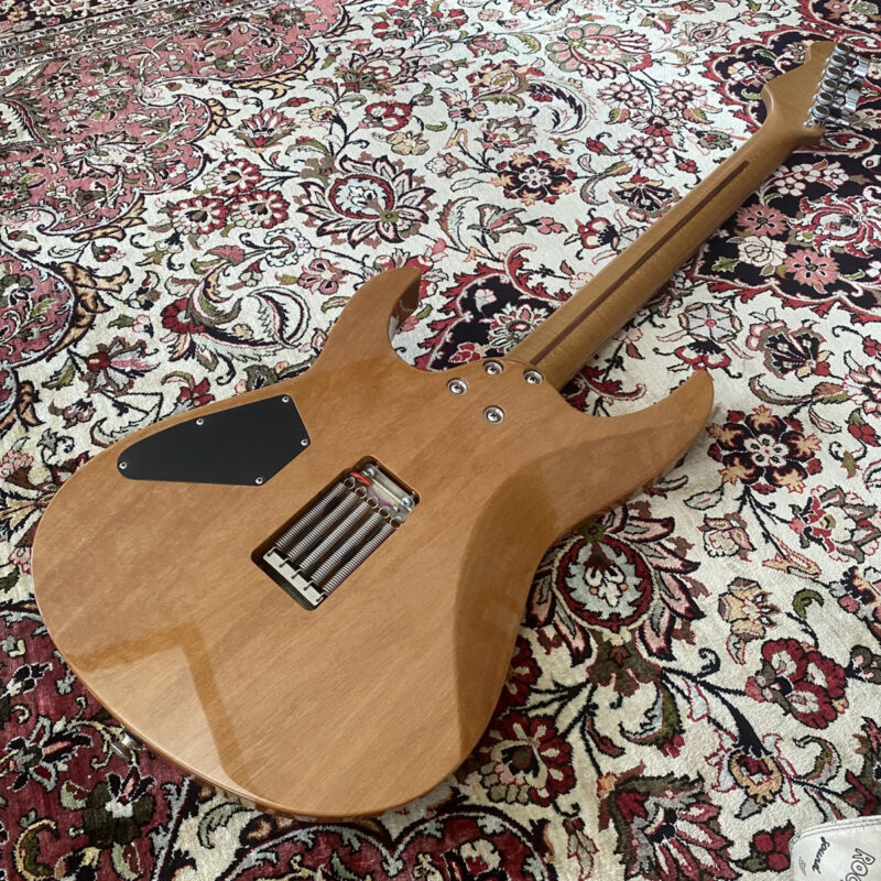 Lepsky F Model Pro+ ボディバック