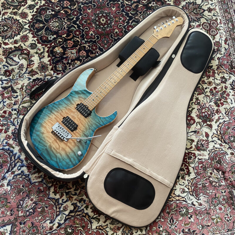 Lepsky F Model Pro+ ケース内部