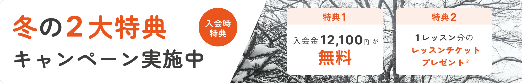 Beeミュージックスクールキャンペーン2025年冬