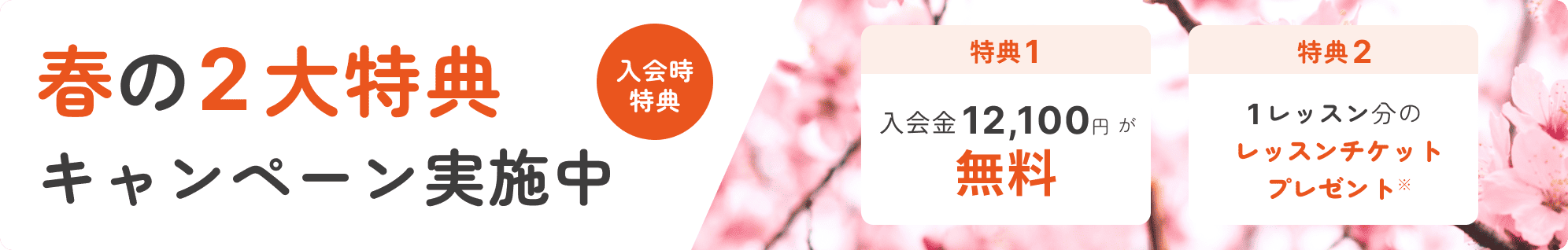 Beeミュージックスクールキャンペーン2026年春