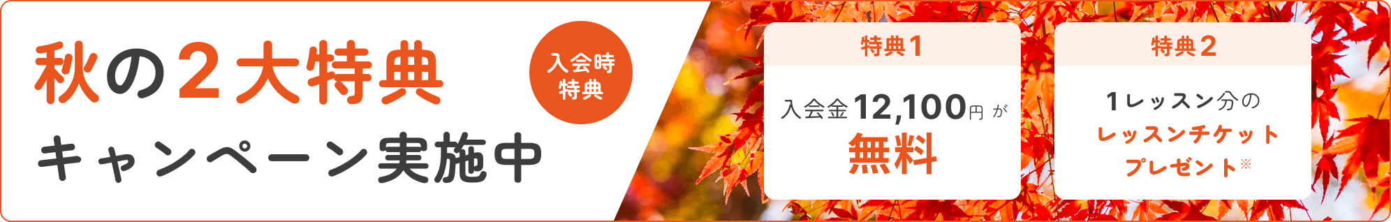 Beeミュージックスクールキャンペーン2026年秋